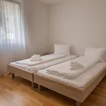 Apartment Moench - Aare Jungfrau Ag