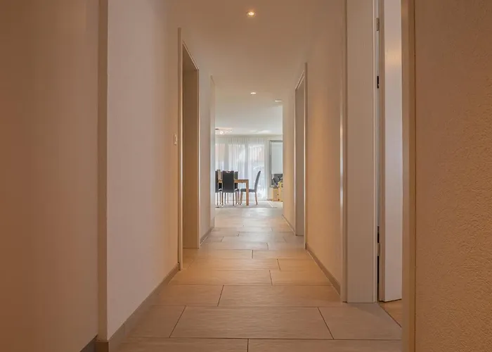 Moench - Aare Jungfrau Ag